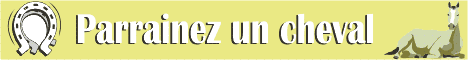 Annuaire et forum de la th�rapie �questre