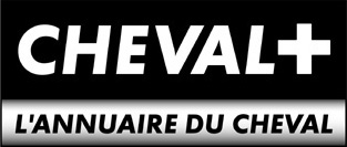 cheval+.jpg (18087 octets)