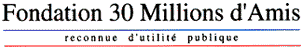 titfonda.gif (2726 octets)