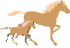 marefoal.gif (3479 octets)