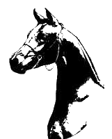 cliphorse07.gif (7109 octets)