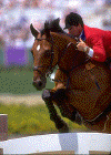 cso3.gif (45370 octets)